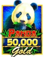 มือใหม่หัดเล่น บา คา ร่า ufabet168 ต้องไม่พลาด!