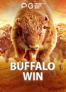 รีวิวการสมัคร sbobet ฟรี พร้อมเทคนิคคว้ารางวัลใหญ่